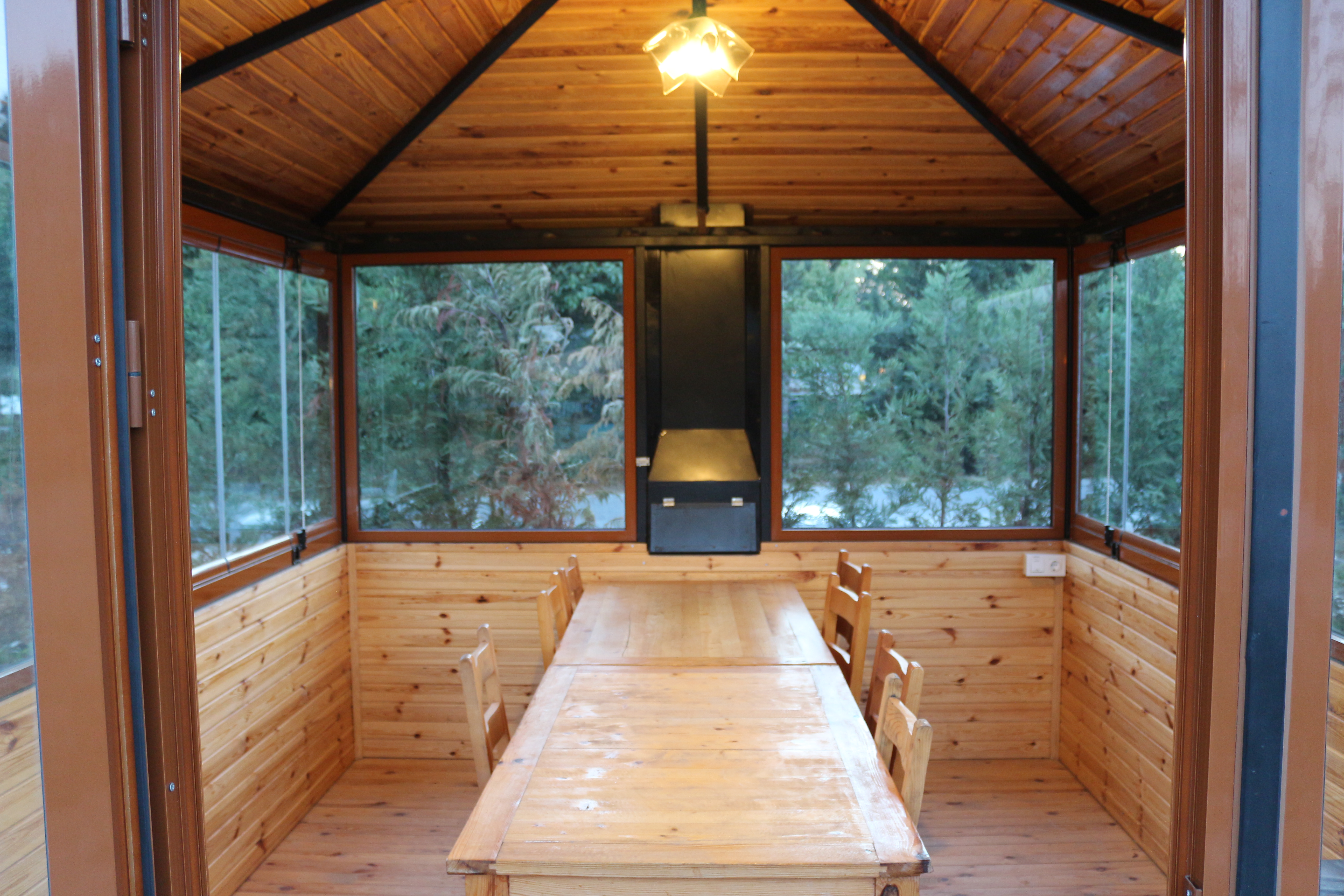 Kamelya
